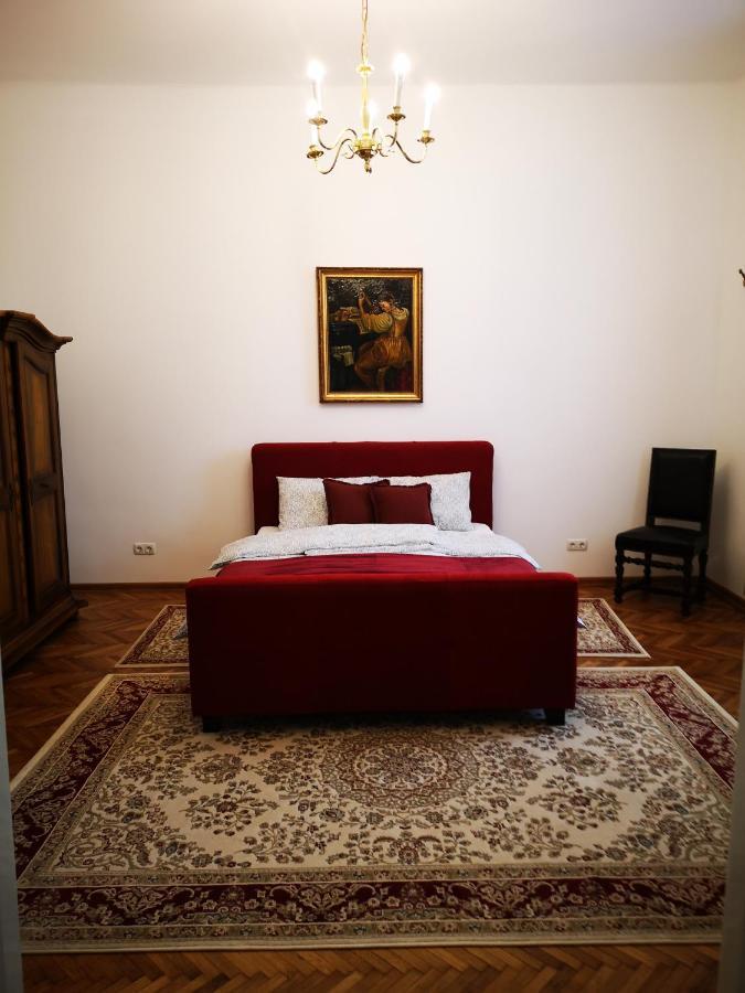 Weisz Castle Style Apartment-City Center-Free Private Parking,Wifi,Ac Nagykároly Kültér fotó