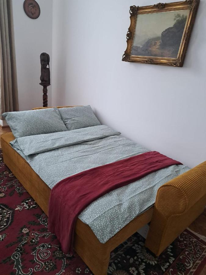 Weisz Castle Style Apartment-City Center-Free Private Parking,Wifi,Ac Nagykároly Kültér fotó
