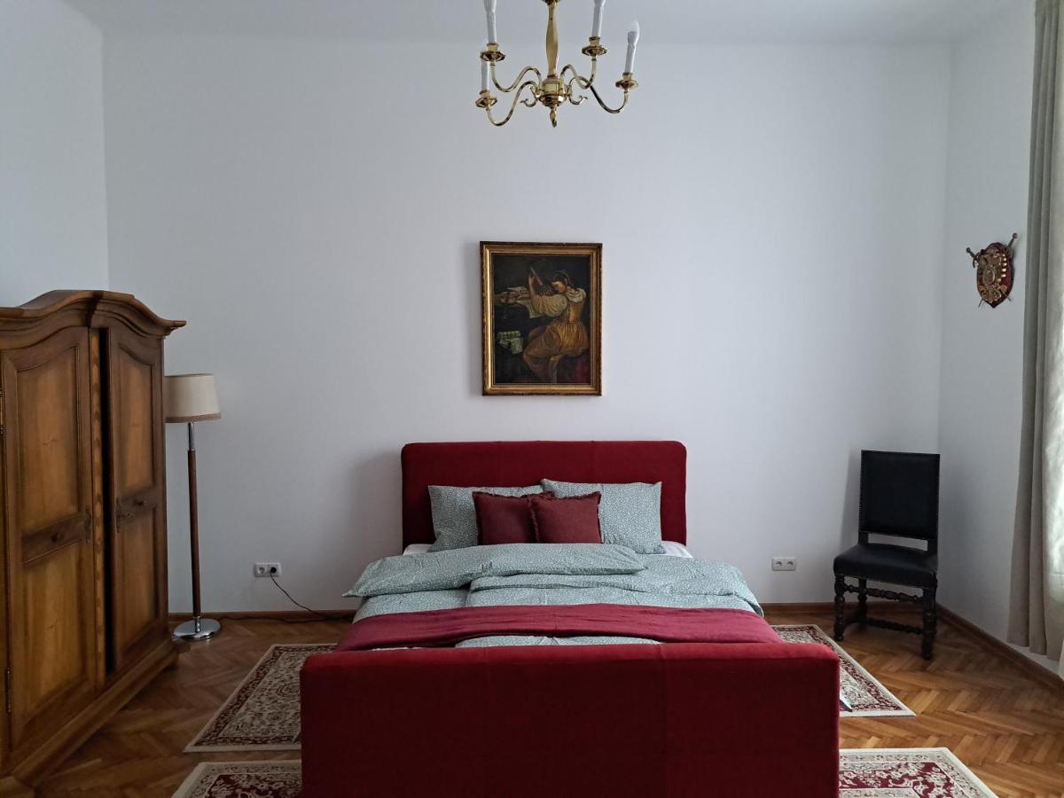 Weisz Castle Style Apartment-City Center-Free Private Parking,Wifi,Ac Nagykároly Kültér fotó